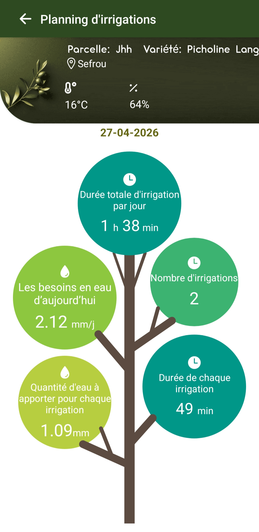 Interface Irri-Smart Olivier
