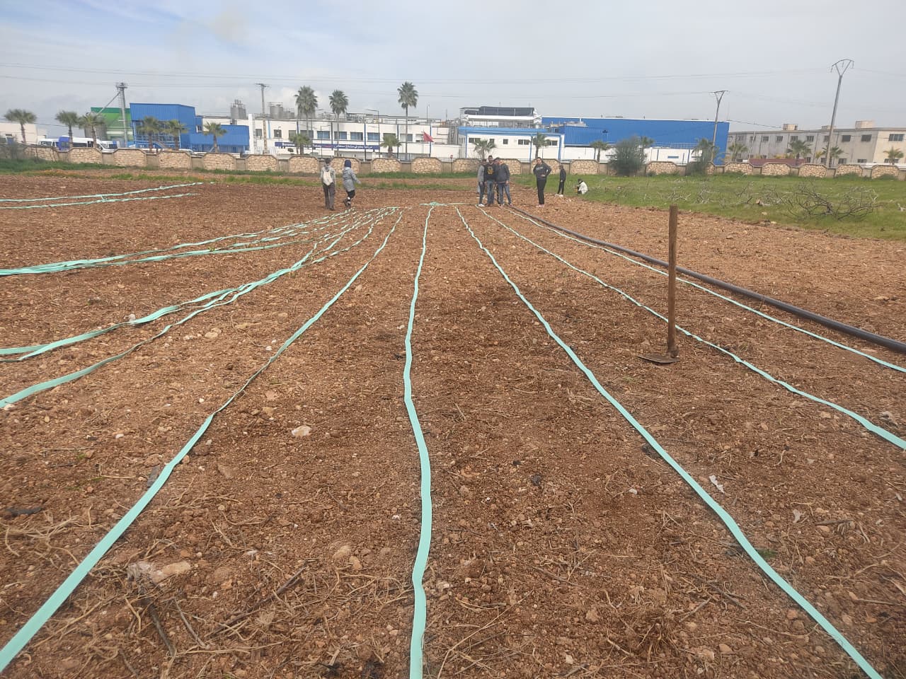 Nano Irrigation