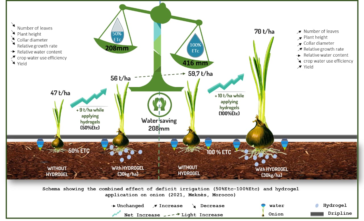 Résultats de nano irrigation sur parcelle